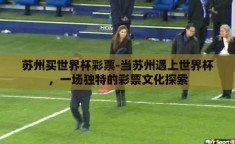 苏州买世界杯彩票-当苏州遇上世界杯，一场独特的彩票文化探索