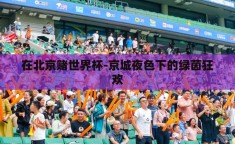 在北京赌世界杯-京城夜色下的绿茵狂欢