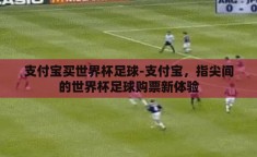 支付宝买世界杯足球-支付宝，指尖间的世界杯足球购票新体验