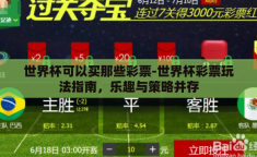 世界杯可以买那些彩票-世界杯彩票玩法指南，乐趣与策略并存