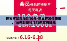 世界杯彩票投注10元-世界杯激情碰撞，10元彩票投注的乐趣与挑战