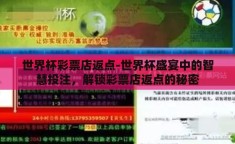 世界杯彩票店返点-世界杯盛宴中的智慧投注，解锁彩票店返点的秘密