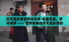 天天盈彩票世界杯中奖-彩趣尽显，梦中寻梦 —— 世界杯赛场天天盈彩票的魔力