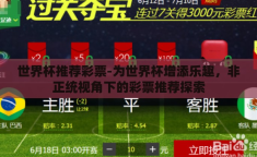 世界杯推荐彩票-为世界杯增添乐趣，非正统视角下的彩票推荐探索