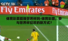 体育彩票能赌世界杯吗-体育彩票，参与世界杯狂欢的新方式？