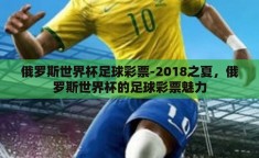 俄罗斯世界杯足球彩票-2018之夏，俄罗斯世界杯的足球彩票魅力