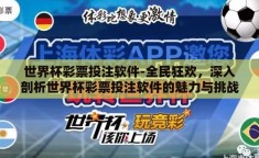 世界杯彩票投注软件-全民狂欢，深入剖析世界杯彩票投注软件的魅力与挑战