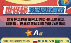 世界杯足球彩票网上购买-网上购彩足球激情，世界杯足球彩票的魅力与风尚