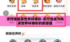支付宝能买世界杯体彩-支付宝成为购买世界杯体彩的新渠道