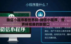 微信小程序看世界杯-微信小程序，世界杯观赛的新窗口