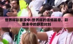 世界杯彩票没中-世界杯的遗憾篇章，彩票未中的静默时刻
