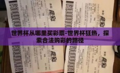 世界杯从哪里买彩票-世界杯狂热，探索合法购彩的路径