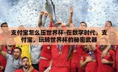 支付宝怎么压世界杯-在数字时代，支付宝，玩转世界杯的秘密武器