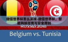 微信世界杯怎么买球-微信世界杯，智能购球指南与安全原则