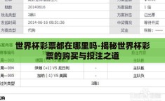 世界杯彩票都在哪里吗-揭秘世界杯彩票的购买与投注之道