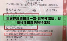 世界杯彩票投注一次-世界杯激情，彩票投注带来的独特体验