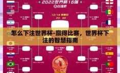 怎么下注世界杯-赢得比赛，世界杯下注的智慧指南