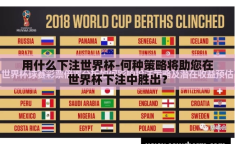 用什么下注世界杯-何种策略将助您在世界杯下注中胜出？
