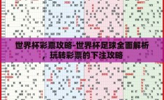 世界杯彩票攻略-世界杯足球全面解析，玩转彩票的下注攻略