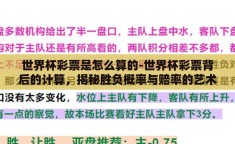 世界杯彩票是怎么算的-世界杯彩票背后的计算，揭秘胜负概率与赔率的艺术