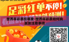世界杯彩票在哪里-世界杯彩票如何购买及注意事项