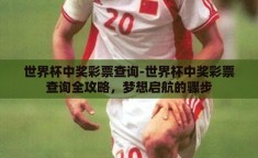 世界杯中奖彩票查询-世界杯中奖彩票查询全攻略，梦想启航的骤步
