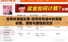 世界杯淘宝彩票-世界杯热潮中的淘宝彩票，激情与理性的交织