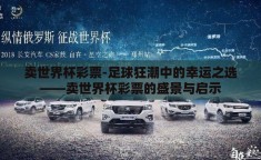 卖世界杯彩票-足球狂潮中的幸运之选——卖世界杯彩票的盛景与启示