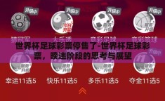 世界杯足球彩票停售了-世界杯足球彩票，暌违阶段的思考与展望