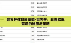 世界杯体育彩票赔-世界杯，彩票赔率背后的秘密与策略