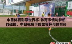 中目体育彩票世界杯-体育激情与梦想的碰撞，中目视角下的世界杯与体育彩票