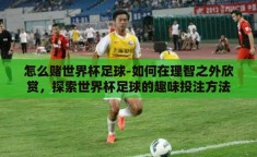 怎么赌世界杯足球-如何在理智之外欣赏，探索世界杯足球的趣味投注方法
