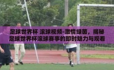 足球世界杯 滚球视频-激情绿茵，揭秘足球世界杯滚球赛事的即时魅力与观看艺术