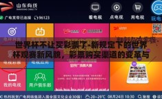 2002世界杯八强彩票奖金-足球盛世记忆，2002世界杯八强赛的荣耀与彩金梦境