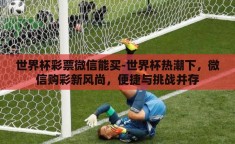 世界杯彩票微信能买-世界杯热潮下，微信购彩新风尚，便捷与挑战并存