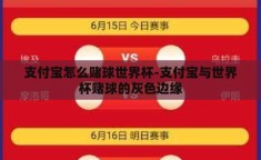 支付宝怎么赌球世界杯-支付宝与世界杯赌球的灰色边缘