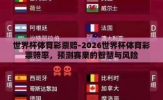 世界杯体育彩票赔-2026世界杯体育彩票赔率，预测赛果的智慧与风险