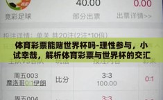 体育彩票能赌世界杯吗-理性参与，小试幸哉，解析体育彩票与世界杯的交汇