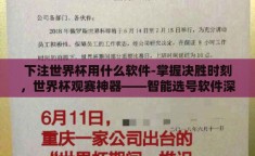 下注世界杯用什么软件-掌握决胜时刻，世界杯观赛神器——智能选号软件深度体验