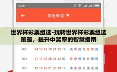 世界杯彩票组选-玩转世界杯彩票组选策略，提升中奖率的智慧指南