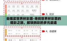 去哪买世界杯彩票-寻找世界杯彩票的精彩之旅，解锁购彩的多元渠道
