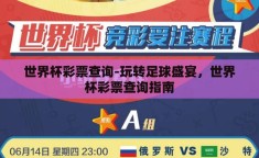 世界杯彩票查询-玩转足球盛宴，世界杯彩票查询指南