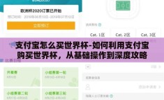 支付宝怎么买世界杯-如何利用支付宝购买世界杯，从基础操作到深度攻略