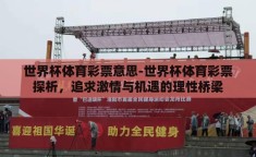 世界杯体育彩票意思-世界杯体育彩票探析，追求激情与机遇的理性桥梁
