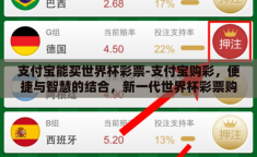 支付宝能买世界杯彩票-支付宝购彩，便捷与智慧的结合，新一代世界杯彩票购买新体验