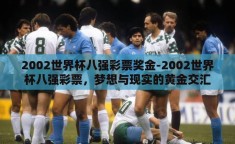 2002世界杯八强彩票奖金-2002世界杯八强彩票，梦想与现实的黄金交汇