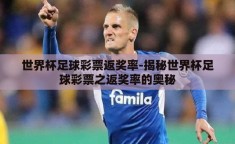 世界杯足球彩票返奖率-揭秘世界杯足球彩票之返奖率的奥秘