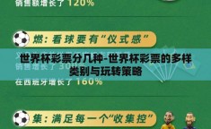 世界杯彩票分几种-世界杯彩票的多样类别与玩转策略
