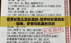 世界杯怎么买彩票的-世界杯彩票购彩指南，梦想与机遇的交织