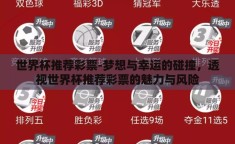 世界杯推荐彩票-梦想与幸运的碰撞，透视世界杯推荐彩票的魅力与风险